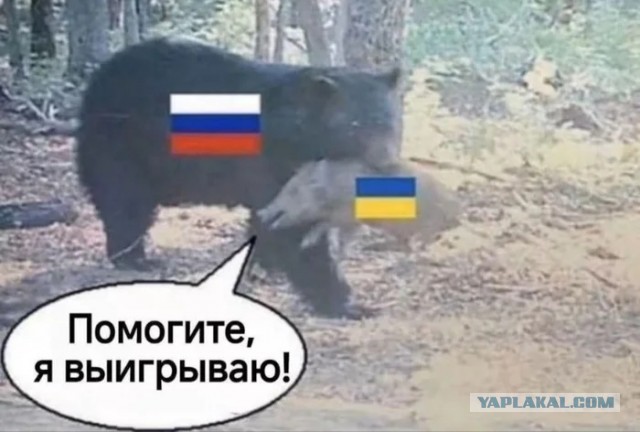 Зеленский отверг предложение Путина о перемирии