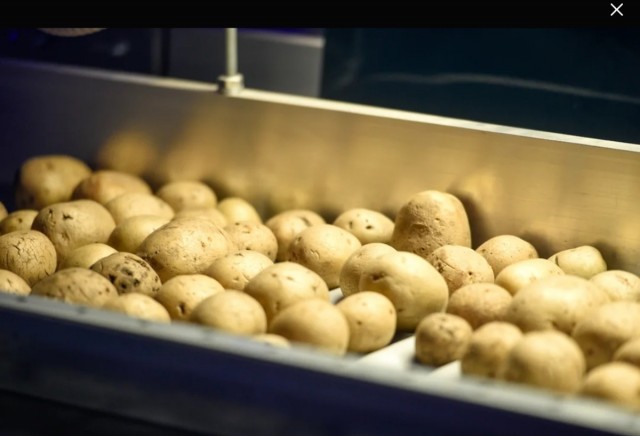 Спасибо дачникам Египта и Китая за картошку