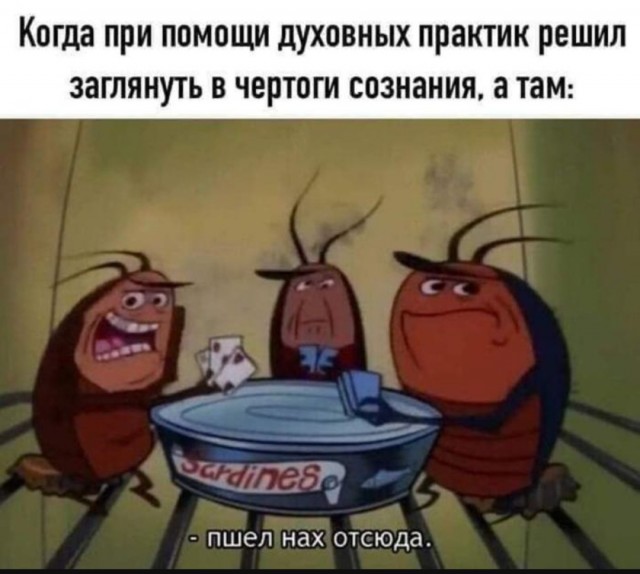 Жалуются на бояны местные.
