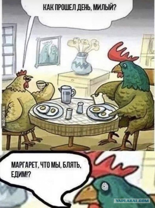 Итоги ККК № 31 "Маски/Звери" и всё такое