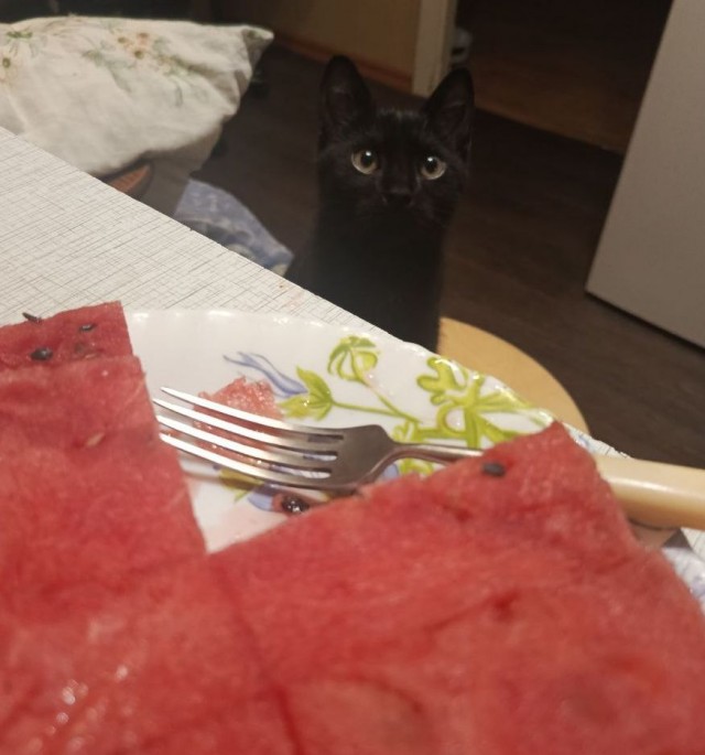 Его первый вторник