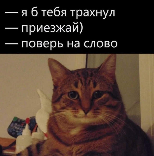 Картинки для деградации 73 (разной степени свежести)