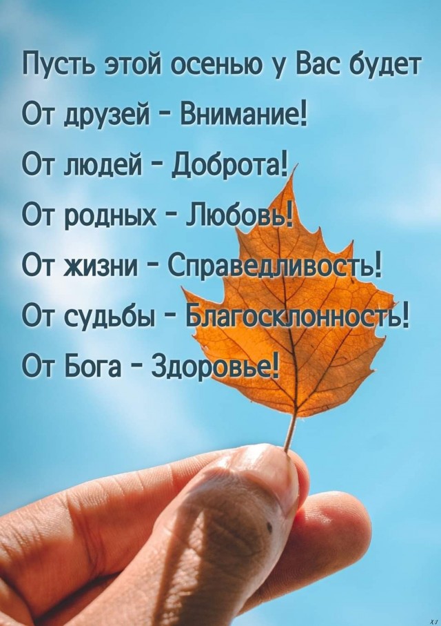 Прикольные и просто красивые картинки 31.10.2025