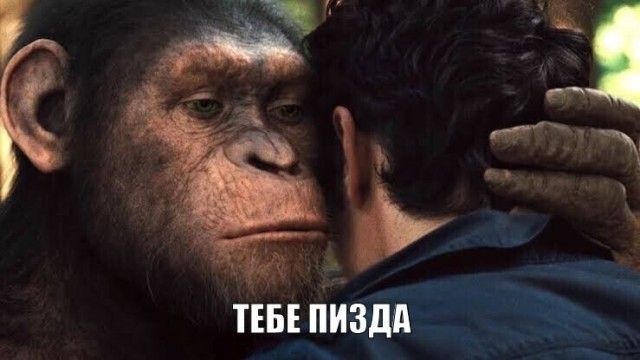 Внимание.... Вопрос...