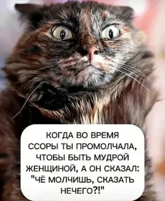 Воскресные картинки