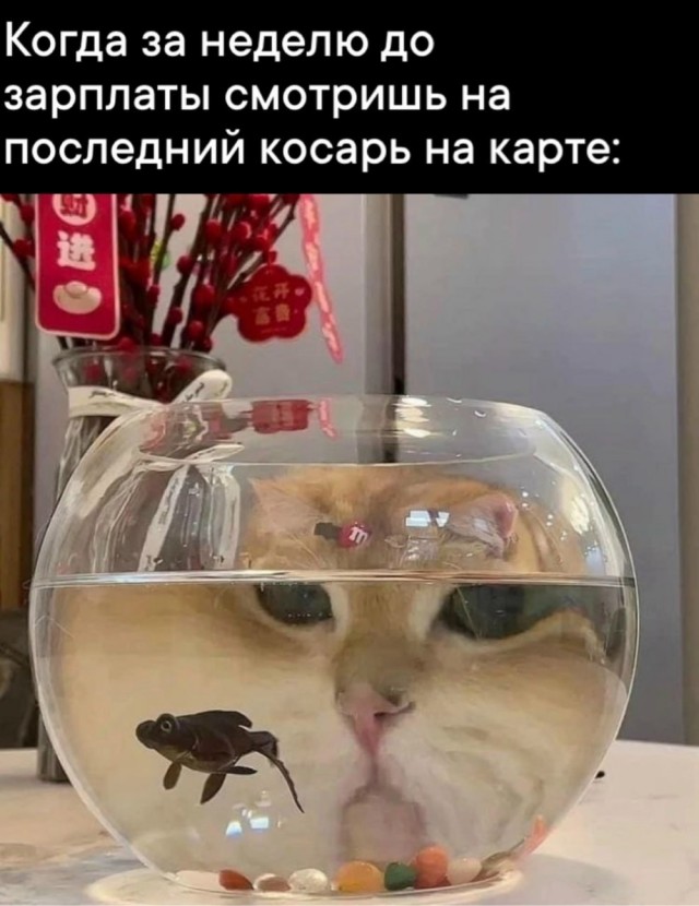 Четверговые картинки