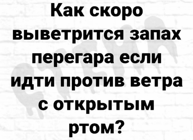 Картинки на кануне Рождества.
