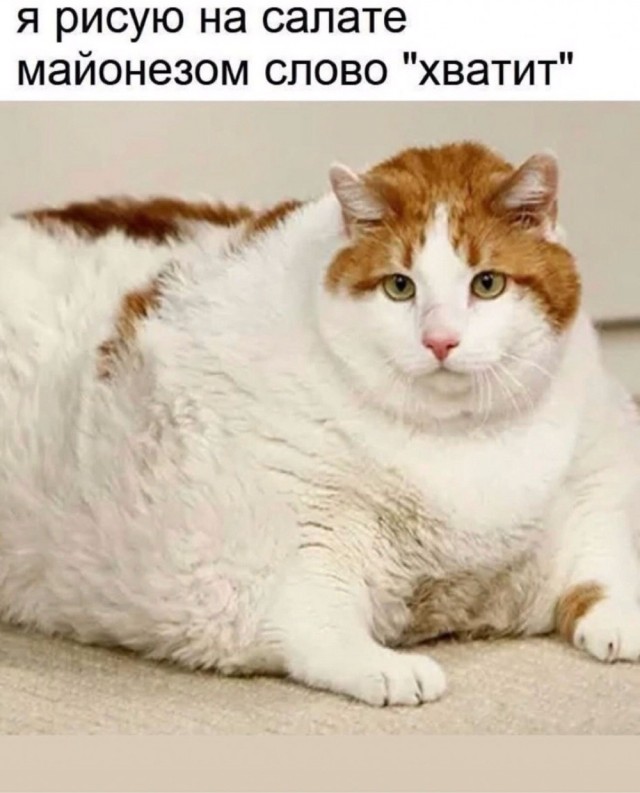 Деградация