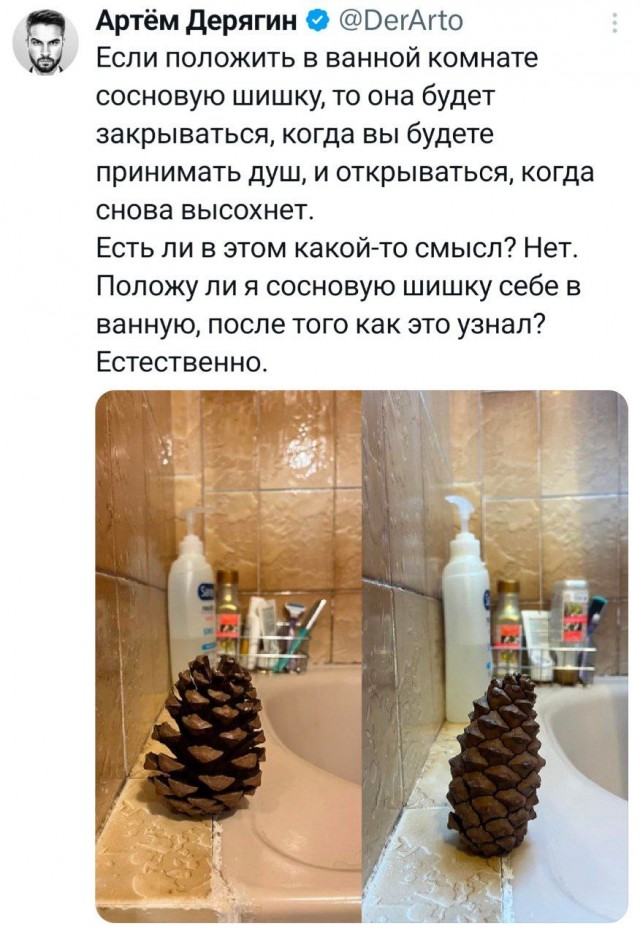 Потная гамсахурдия №1 (Картинки)