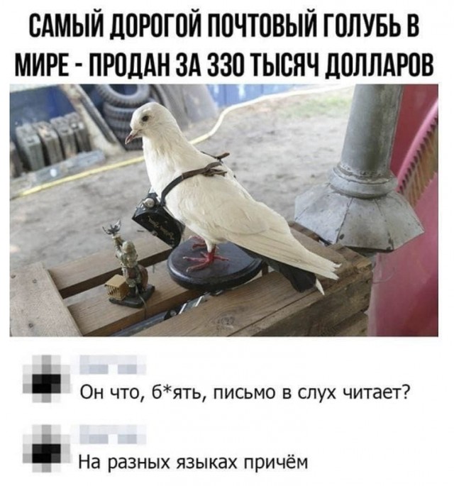 Картинки для деградации 163 (разной степени свежести)