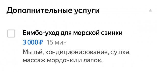В России появился бимбо-уход для морских свинок за ₽3 тыс.