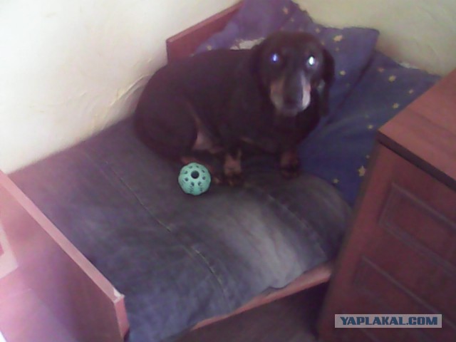 Как я тумбочку в прихожую запилил