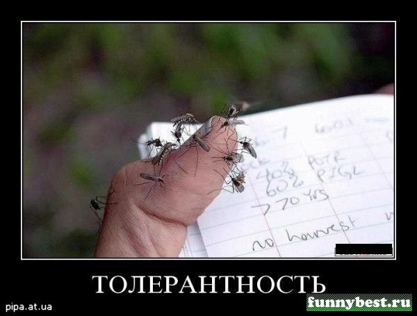 Даг изнасиловал 13-летнюю школьницу в СПб