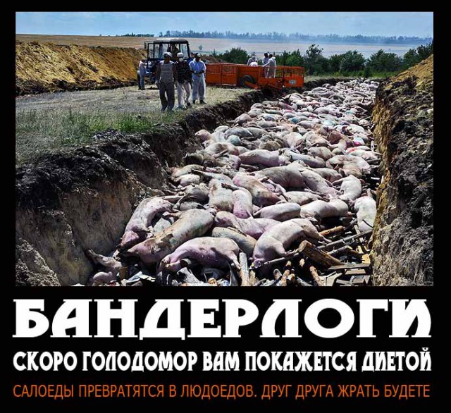 Визит Путина в Севастополь возмутил Украину