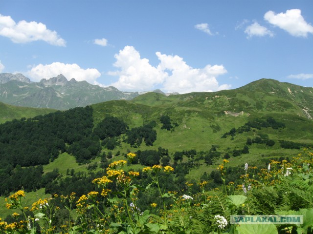 Великолепная Абхазия