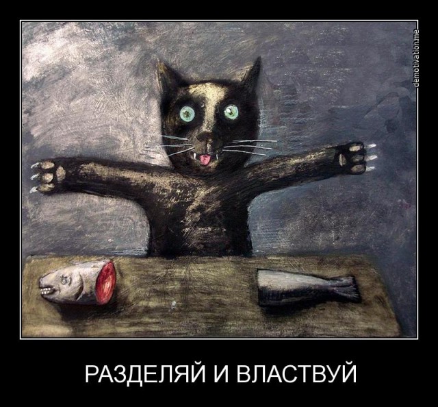 Смешные картинки из соц. сетей.