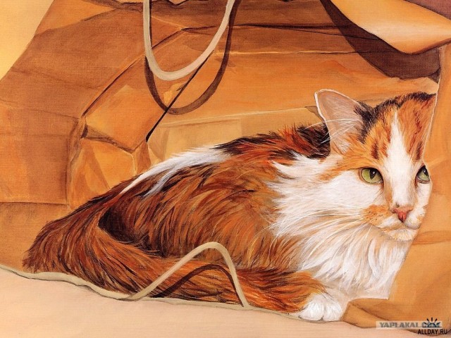 Рисованный котовторник
