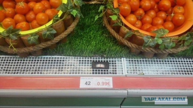 Минчанин убежал от кризиса на Канары
