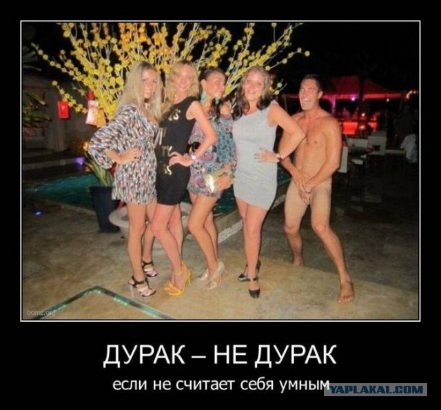 Веселости которые встретились сегодня