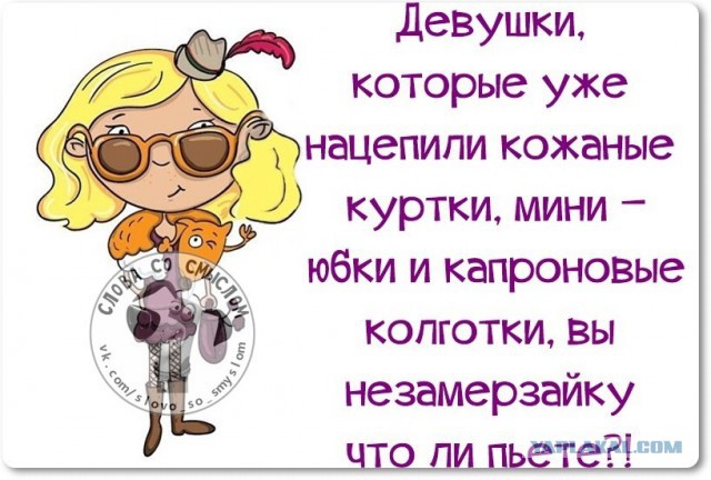 Веселые жизненные наблюдения из Вредного журнала