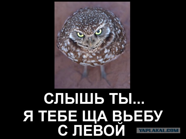 Остановите раковую опухоль российского кино, Bad Comedian