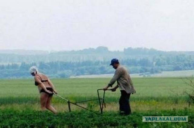Скоро лето