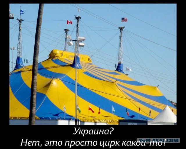 10 политических картинок часть 12