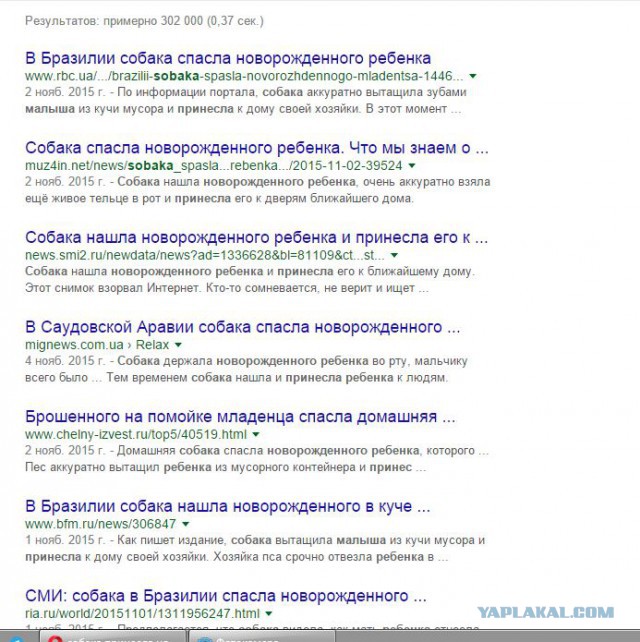 Этот огромный хаски старался быть невозмутимым