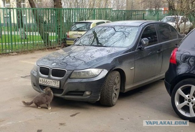 Немного картинок на выходные     20 шт