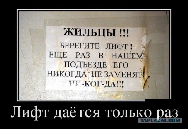Картинки разные, и в черных квадратиках тоже есть