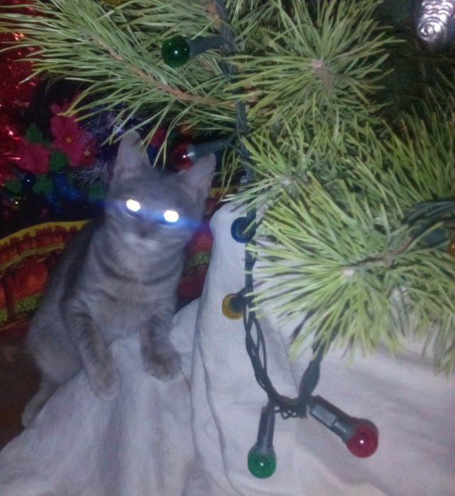 Про маньячку-убийцу с длинным хвостом.