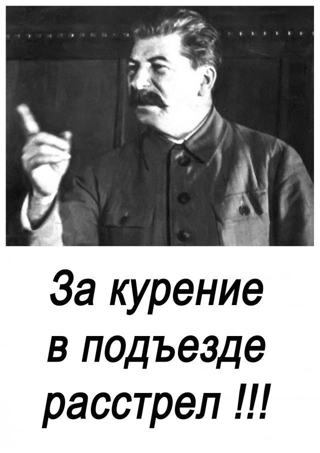 15 душевных объявлений из наших подъездов