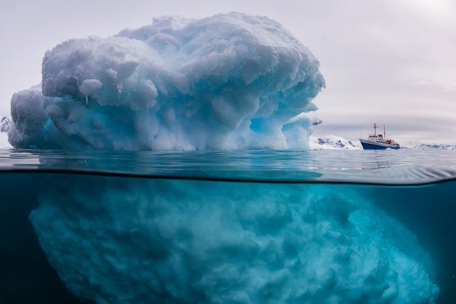 24 удивительных фото, где нет ни грамма фотошопа