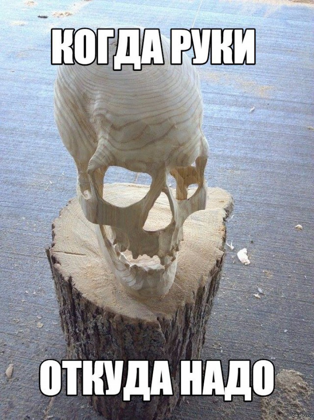 Подборка безудержного веселья