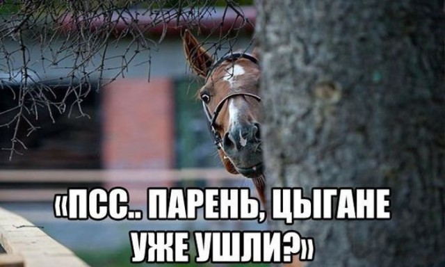 Картинки с буквами и без.