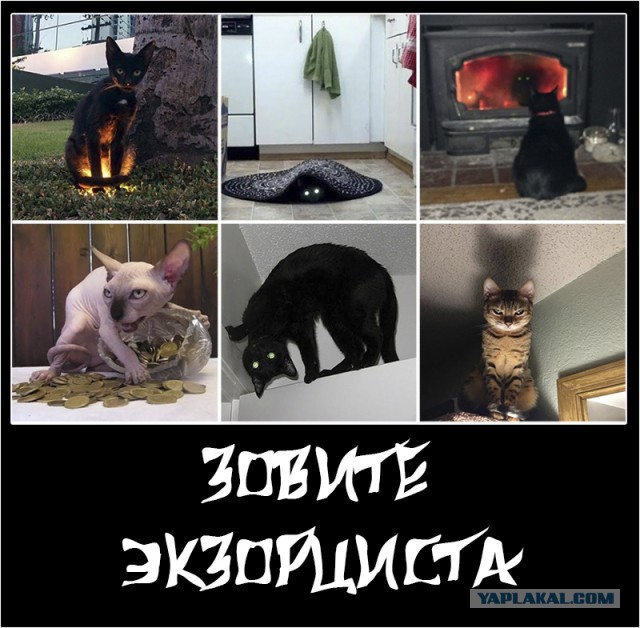 Подборка интересных и веселых картинок