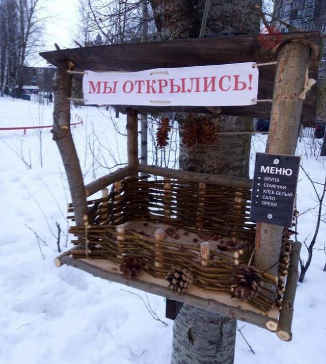 Подборка интересных и веселых картинок