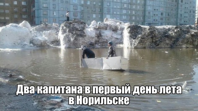 Смешные картинки