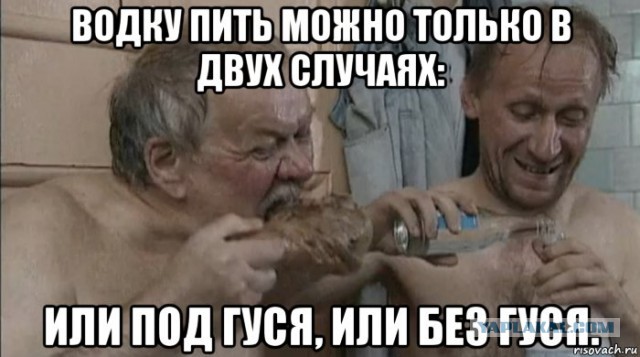 Любители шашлыков убили краснокнижных птиц в омском зоопарке