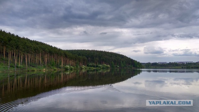 Недавно купил фотоаппарат! Хочу похвастаться!