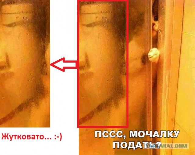150 картинки для поднятия настроения!