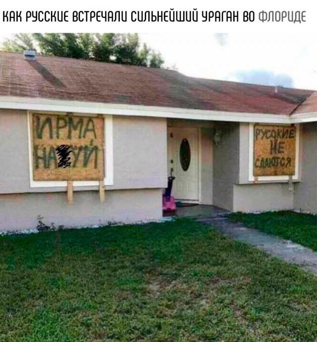 130 картинок для поднятия настроения!