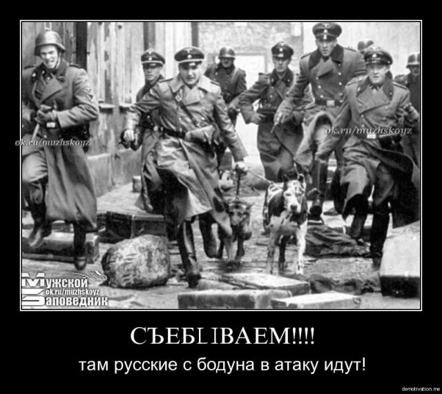Баянистая годнота - 2