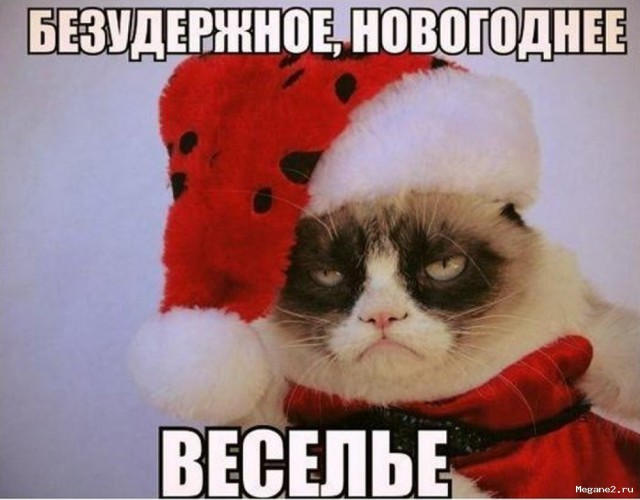 23 фото, после которых у вас появится новогоднее настроение