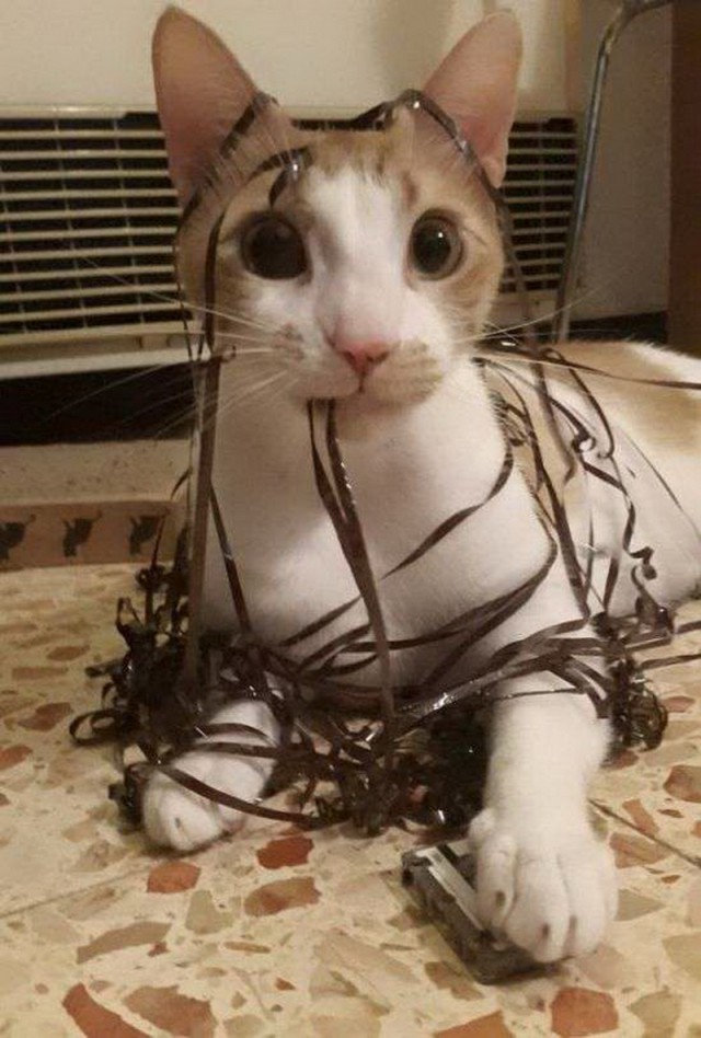 Запилю-ка я картинок