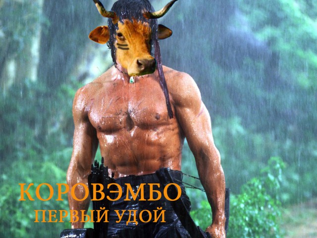 В Польше корова сбежала от скотобойни на остров посреди озера и не подпускает к себе людей