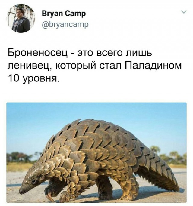 Нестандартный юмор