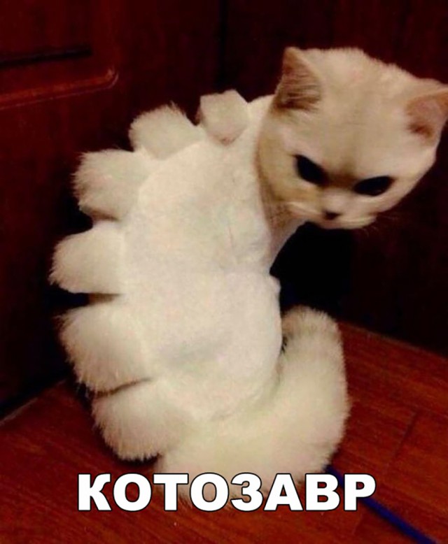 Нестандартный юмор