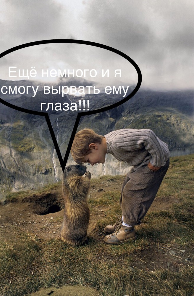 Подборка интересных и веселых картинок