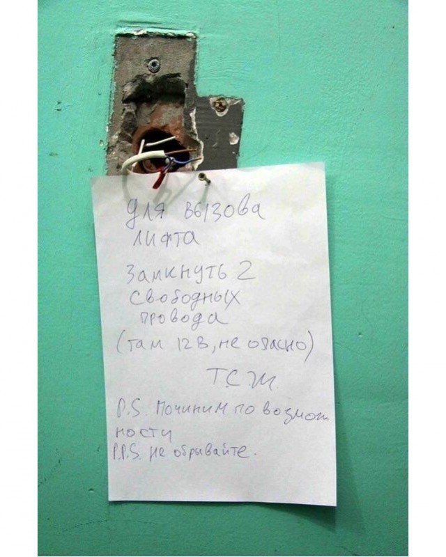 Лента прикольных картинок